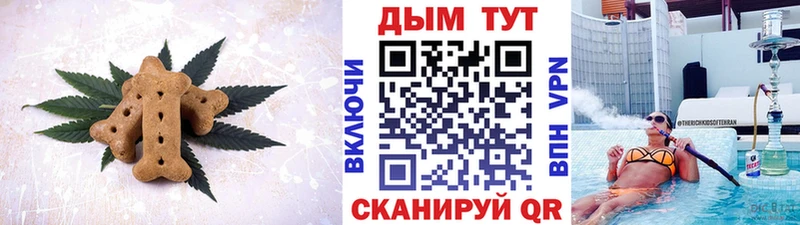 Cannafood конопля  Купить закладки  Камышлов 