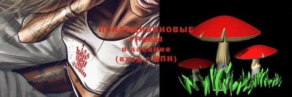 не бодяженный Саяногорск
