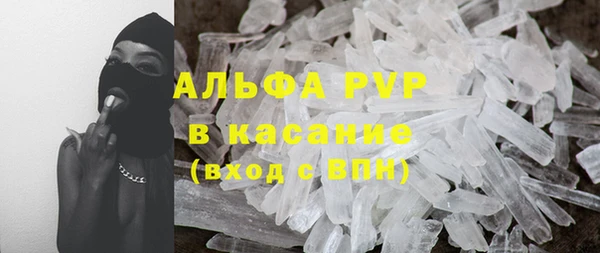 прущие грибы Сатка