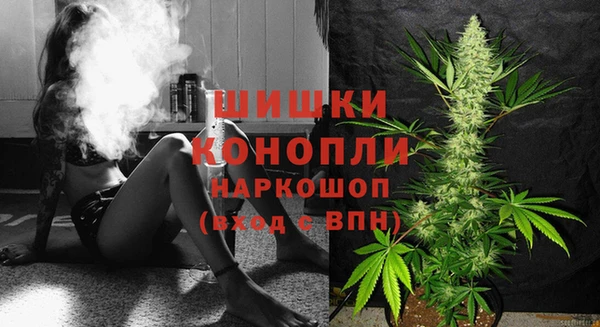 прущие грибы Сатка