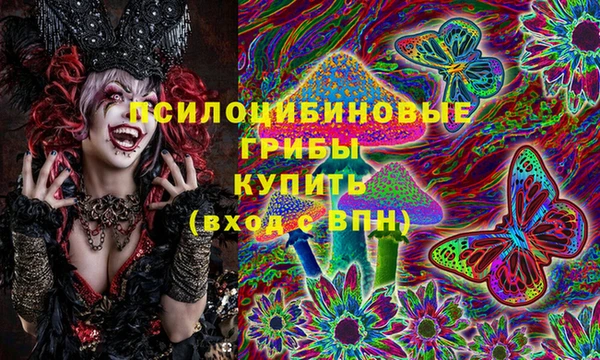 дурь Сафоново