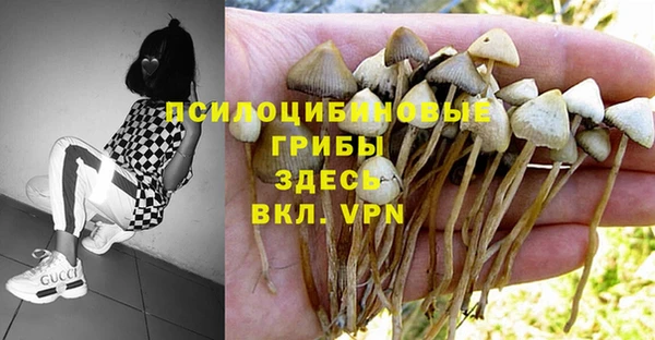 экстази Семилуки