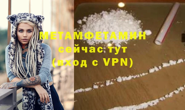 прущие грибы Сатка