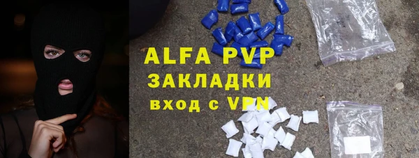 прущие грибы Сатка