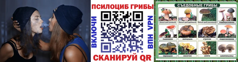 Купить закладки Камышлов Галлюциногенные грибы мицелий